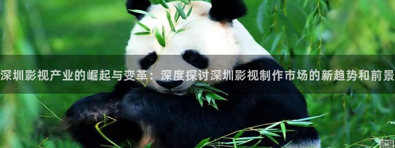 天堂影院在线放观看