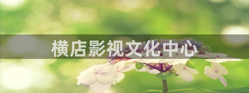 天堂网电影影院：横店影视文化中心