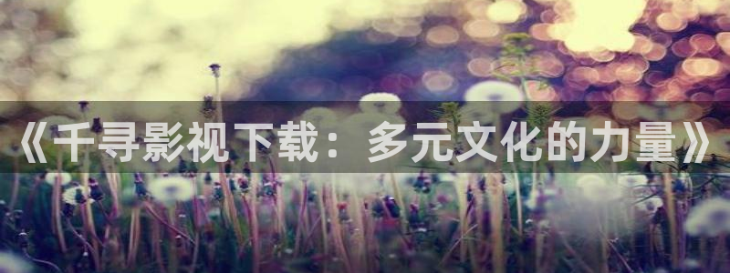 天堂影院在线免费观看电影：《千寻影视下载：多元文化的力量》